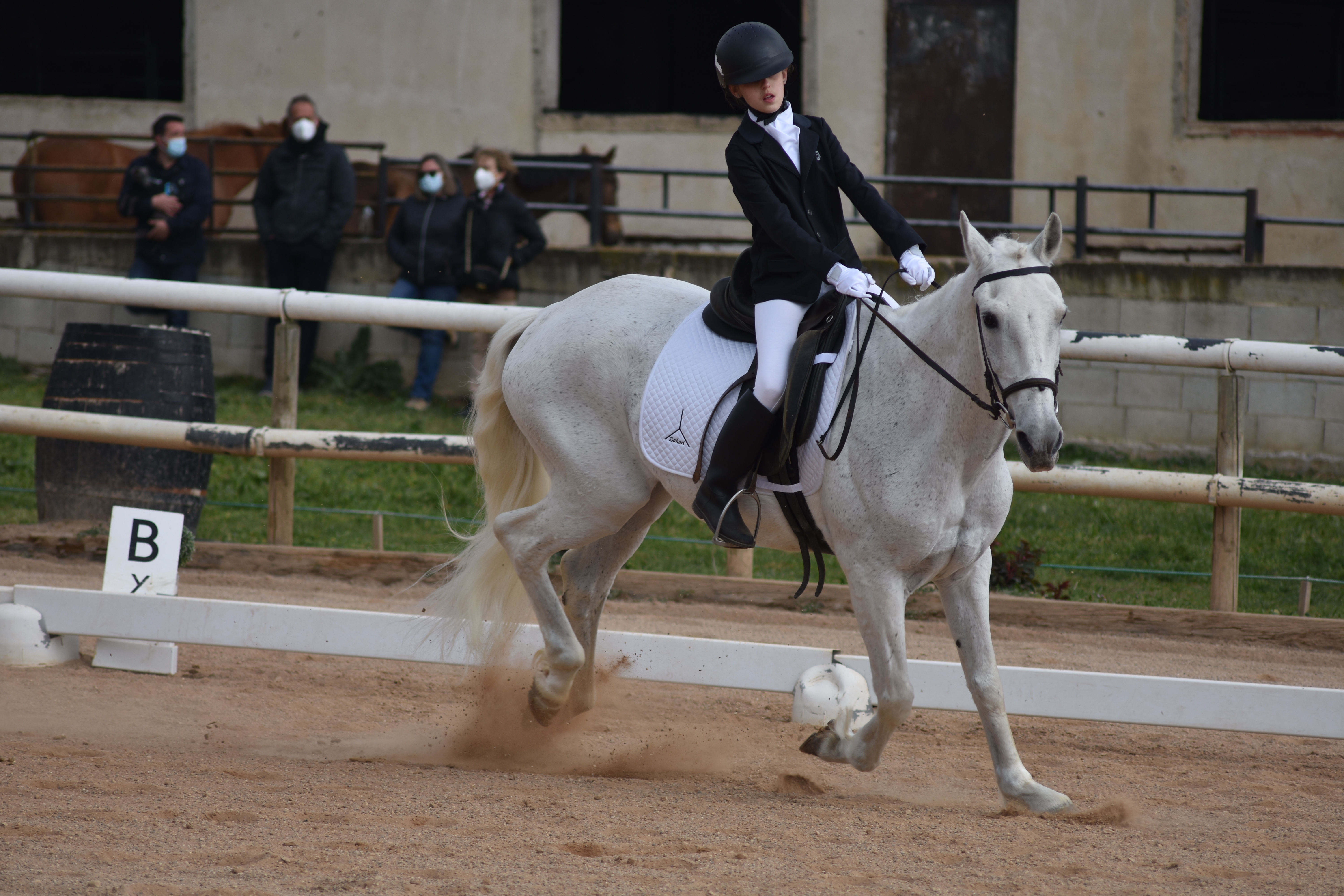 Más fotos de la Primera Fase de Doma Clásica en Acedo